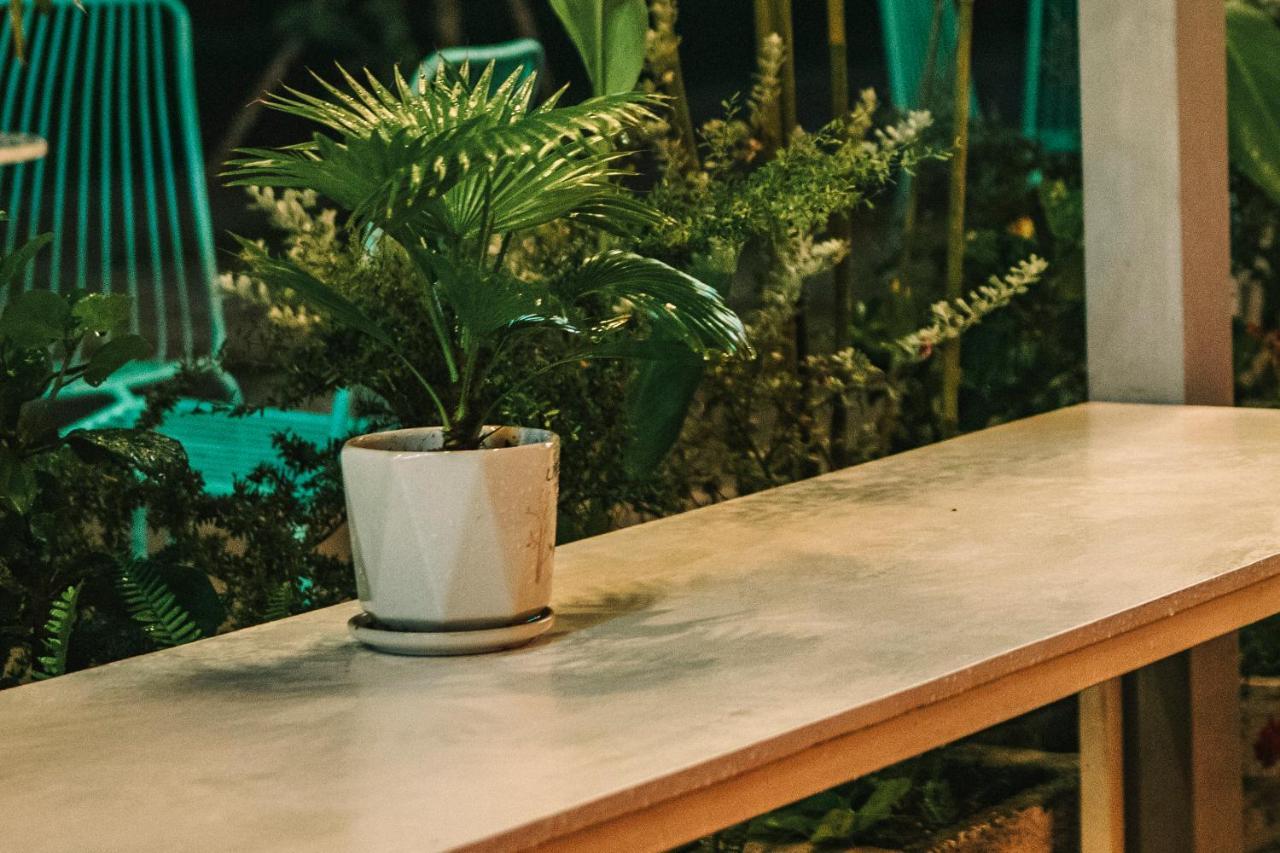 Dai Duong La Gi Homestay & Coffee Esterno foto